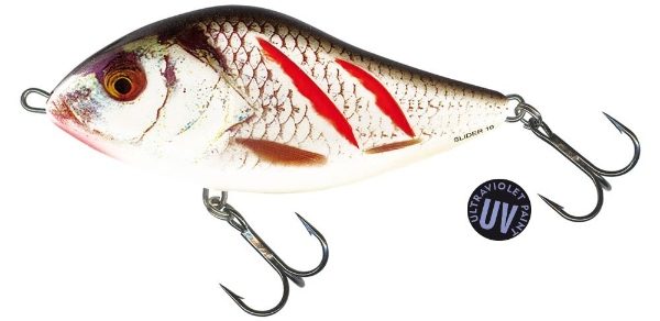 RV-SD-WGS Wounded Real Grey Shiner Salmo Slider