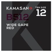 Kamasan B512 Wide Gape Red Hook
